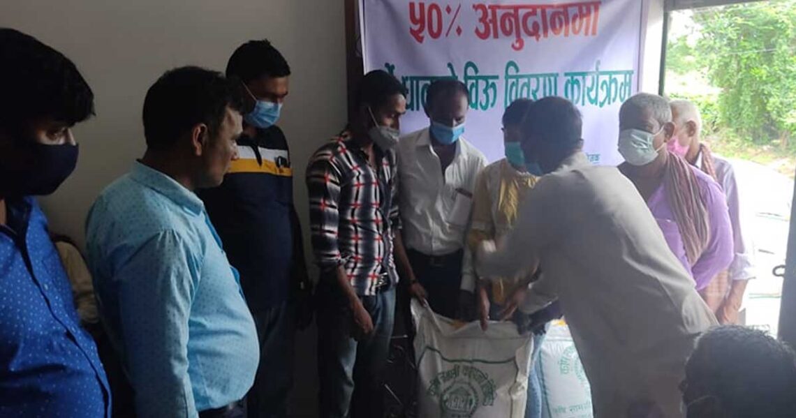 गरिबी उत्थान समुहले ५० प्रतिशत अनुदानमा वितरण गर्‍यो उन्नत जातको धानको बीउ