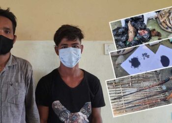 बराहक्षेत्रमा हरिण काटिरहेको अवस्थामा दुई पक्राउ, भरूवा बन्दुक र बारूद समेत बरामद