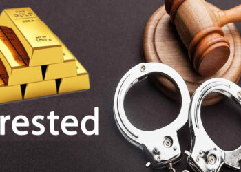 १९ किलो सुनसहित विदेशी नागरिक त्रिभुवन अन्तर्राष्ट्रिय विमानस्थलबाट पक्राउ